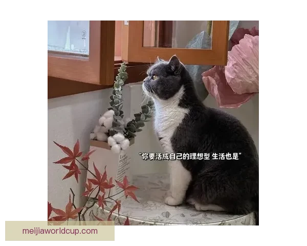卡尔：低谷中的挣扎让我更加坚定 现在终于找回自我状态